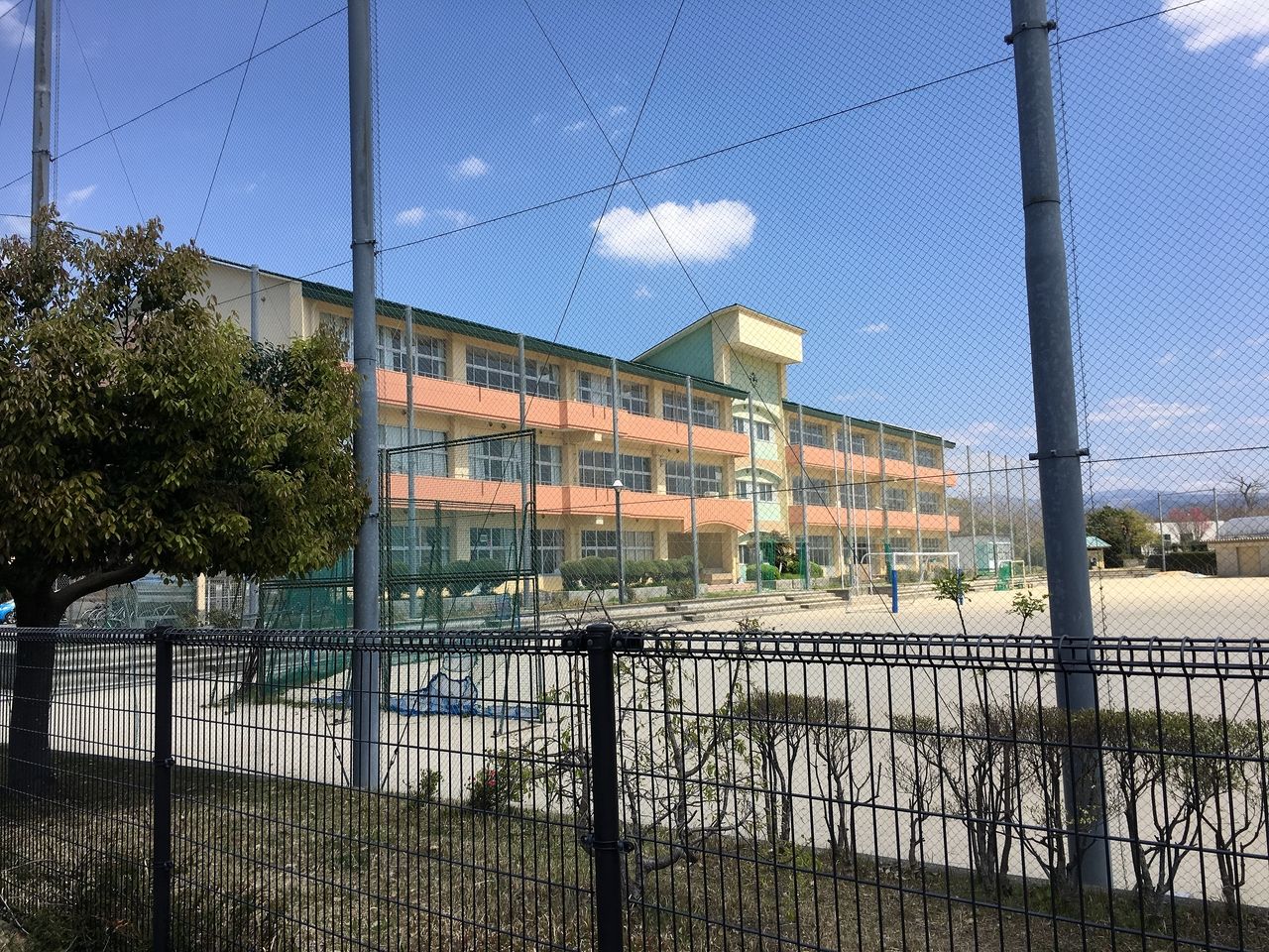 熊本市立桜木東小学校・校舎と運動場