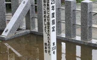 熊本市東区若葉　西無田雨宮神社　Ⅲ