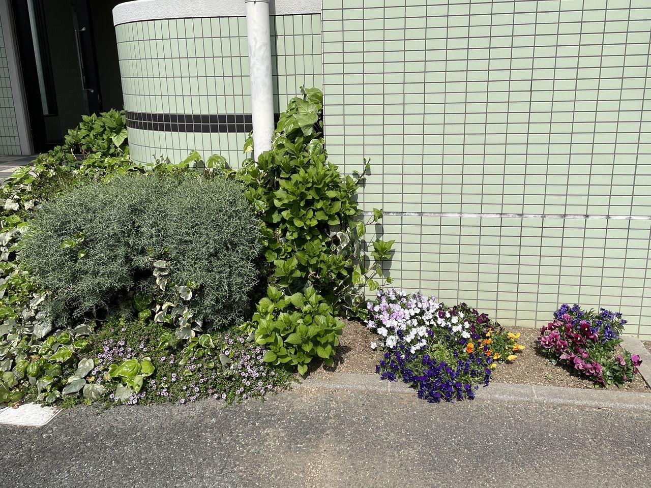 熊本市東区桜木にあるカサベルデの玄関横の花壇