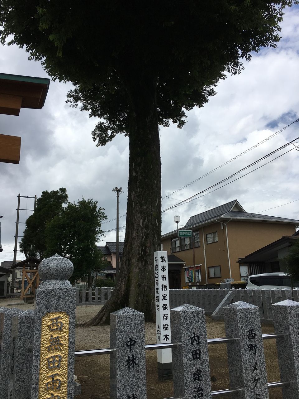 境内にそびえる熊本市指定保存樹木