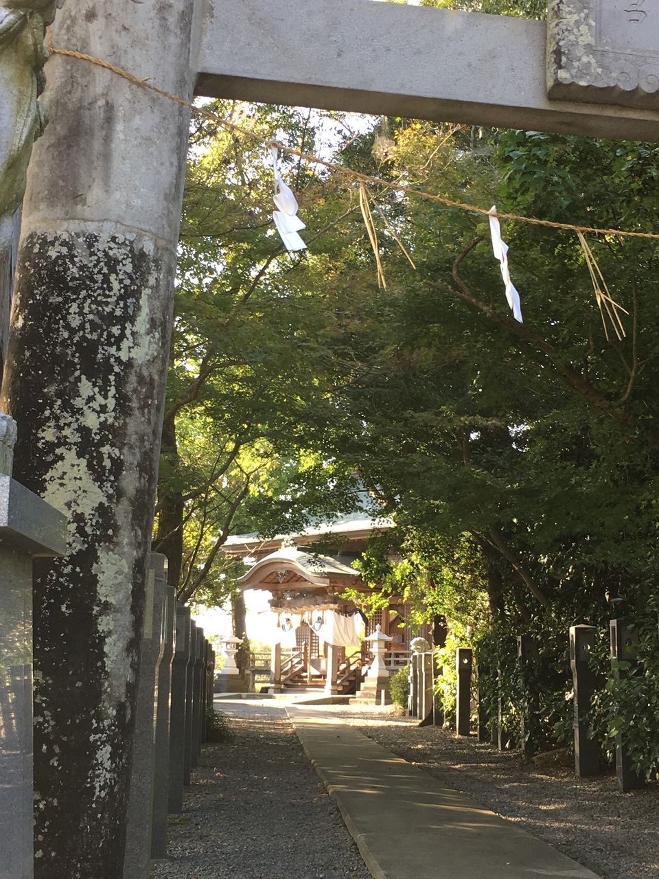 静けさの中に佇む浮島熊野座神社には、心の安らぎをあたえてくれる、ひとときがあります。時間がある時に立ち寄り、雄大な時のながれを感じ癒されてみませんか。