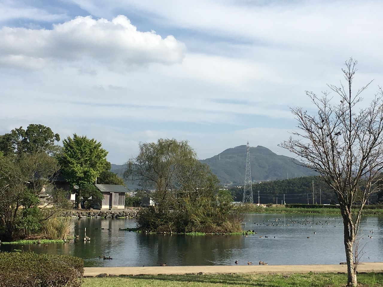 浮島周辺水辺公園より浮島神社や飯田山を望む、湧水には水鳥が遊ぶ